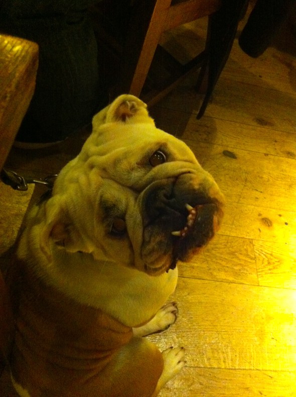 Cozy Gertie @ her Favorite Pub: A Broad Cooking