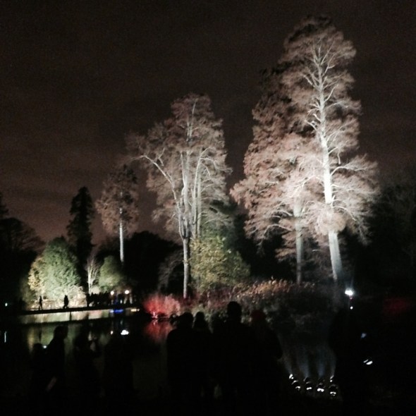 Christmas @ Kew Gardens