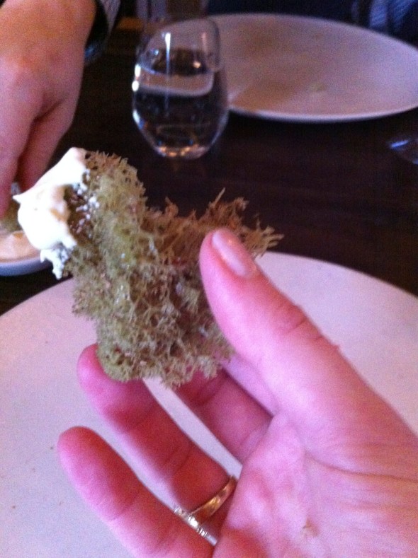 Fried Moss w/ Creme Fraiche - Noma: A Broad Cooking